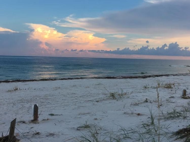 Dr. Julian G. Bruce St. George Island State Park