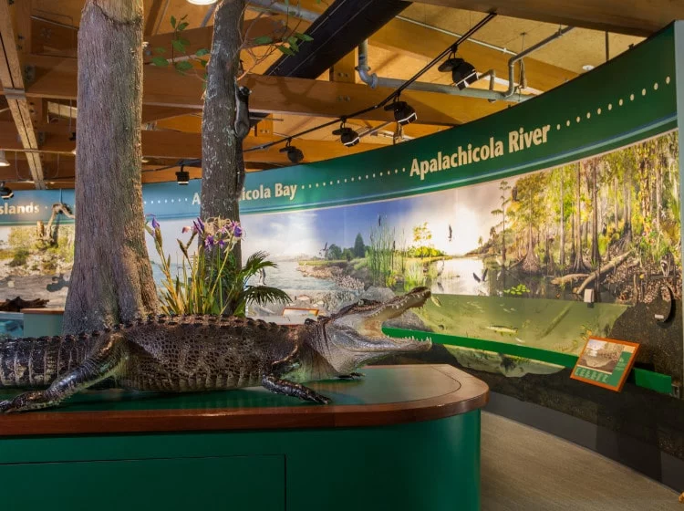 Apalachicola National Estuarine Research Reserve Nature Center