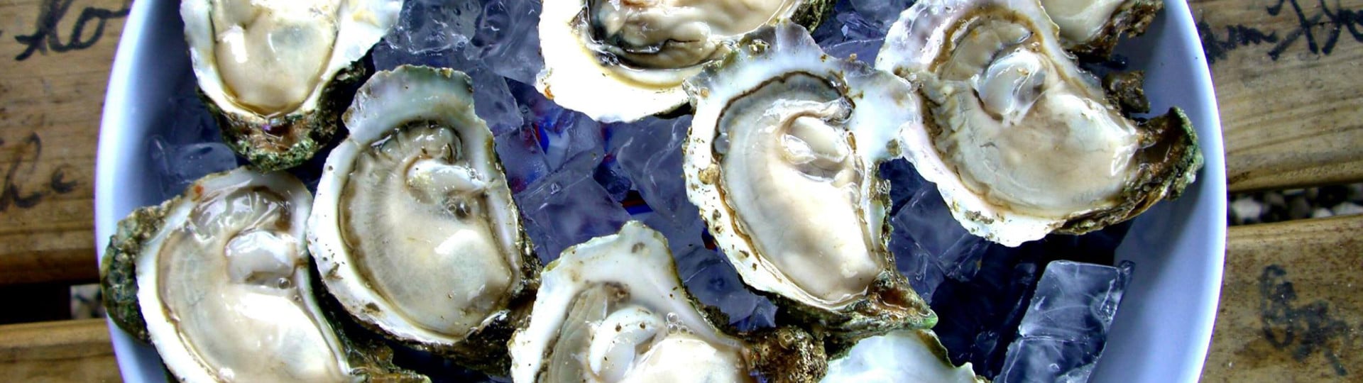 apalachicola bay oysters