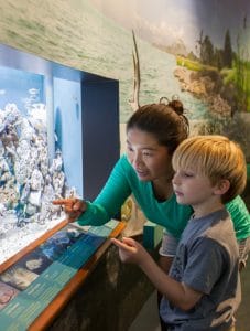 Woman showing child the marine life at the Nature Center in Eastpoint