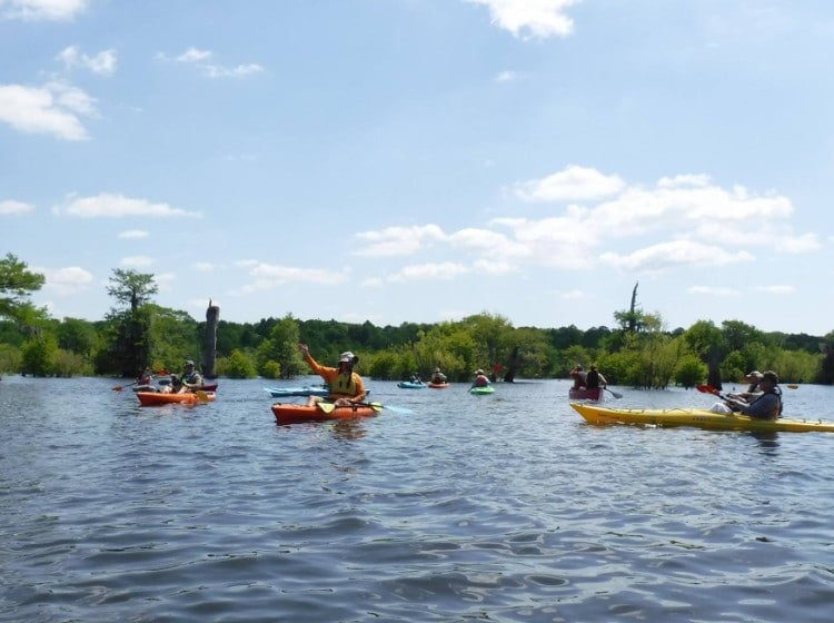 Apalachicola National Estuarine Research Reserve Kayaking