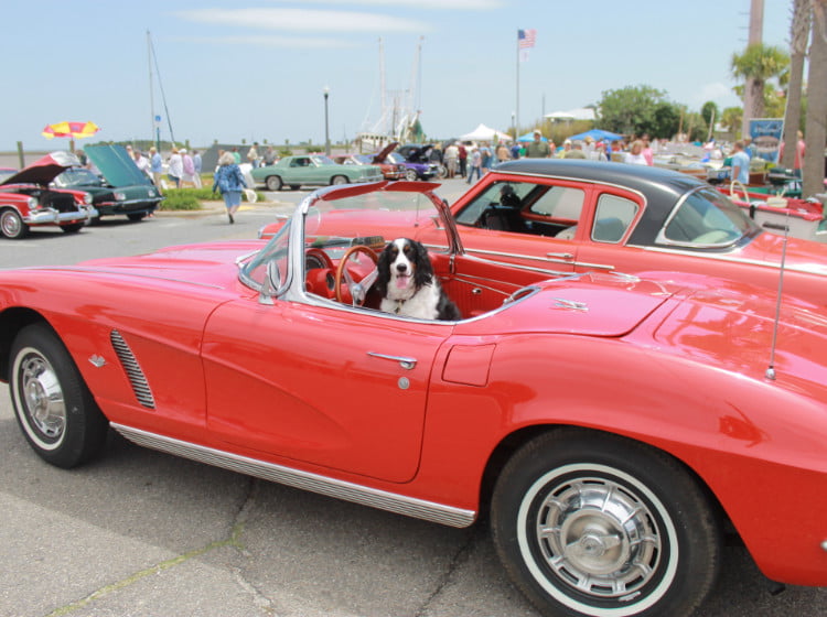 Antique & Classic Boat, Car & Golf Cart Show - Donald Wesson