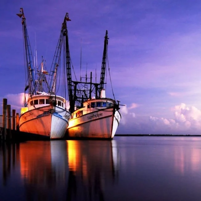 Shrimp Boats Docked in Apalachicola Florida