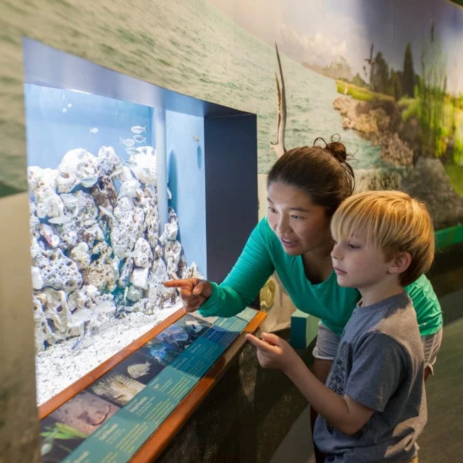 Woman and boy exploring the Apalachicola National Estuarine Research Reserve