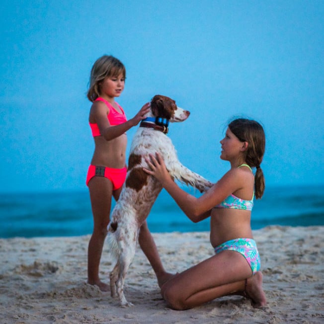 Two girls playing with dog on the beach at St. George Island FL