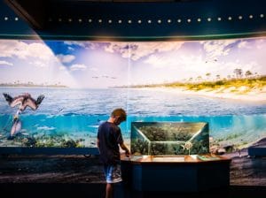 Young boy explorig The Reserve