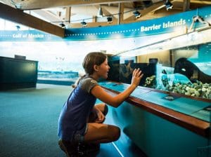 Exploring the Nature Reserve in Eastpoint