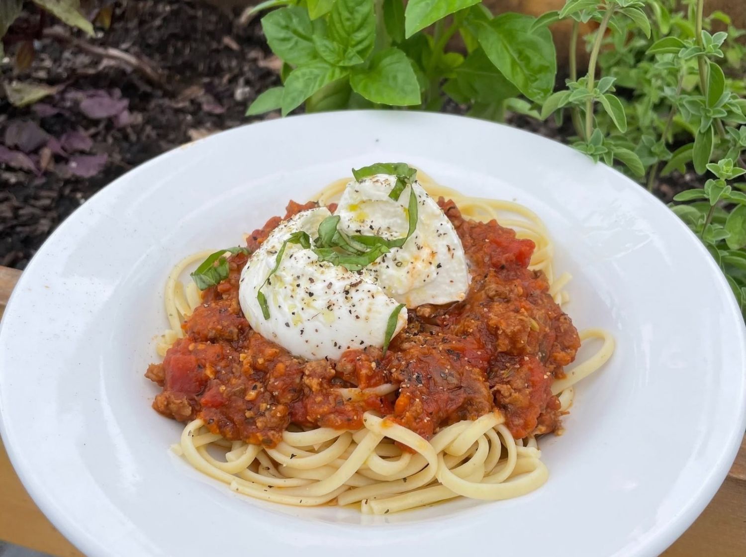 Mangia