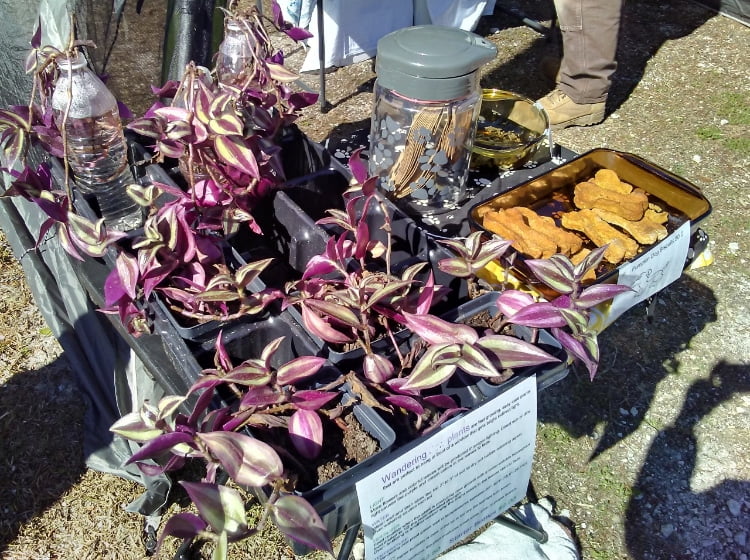 Carrabelle Country Farmer's Market