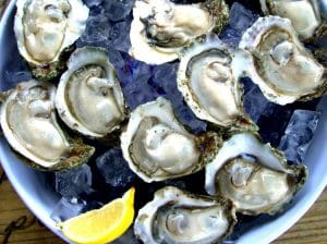 Fresh Raw Apalachicola Oysters