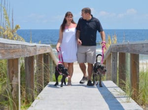 Couple walking their dogs on St. George Island