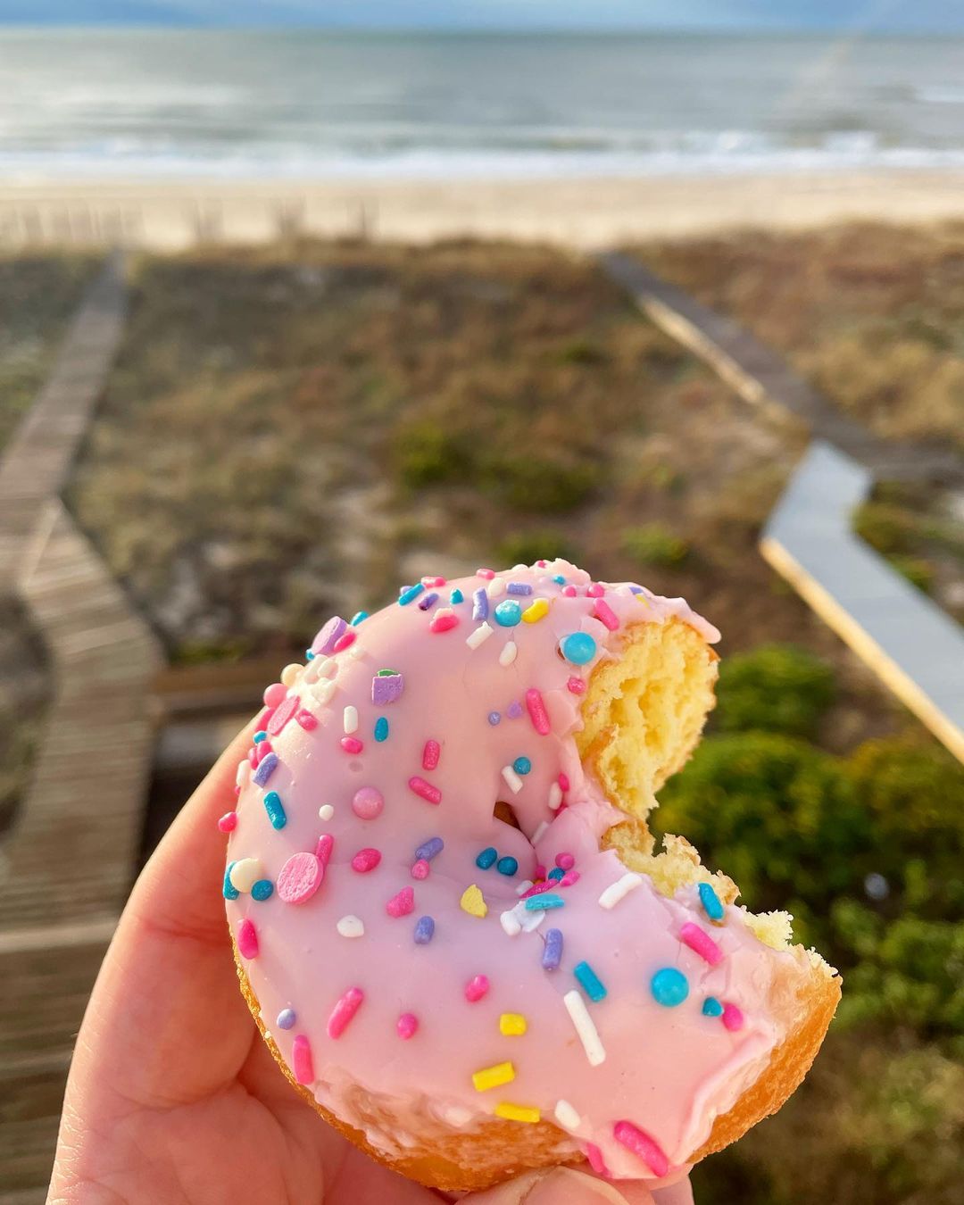 Donut with pink icing and sprinkles from Weber's Donut's on St. George Island FL