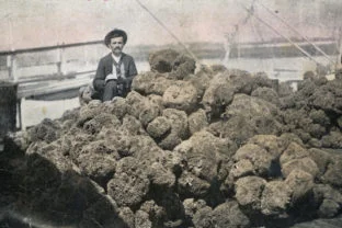 Carrabelle History Museum presents special exhibit on Sponge Diving in Carrabelle and North Florida