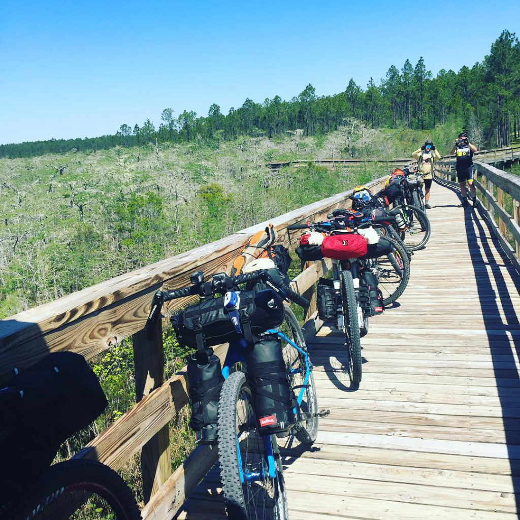 Mountain Bikes parked on the side of boardwalk at the Dwarf Cypress Forest