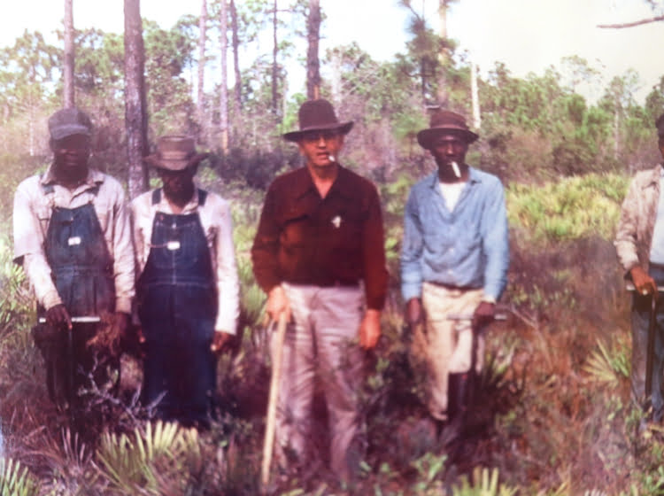 Photo of turpentine workers in a forest