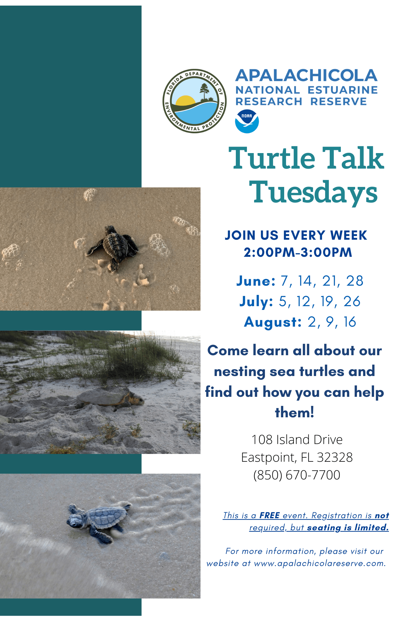 Turtle Talk Tuesdays