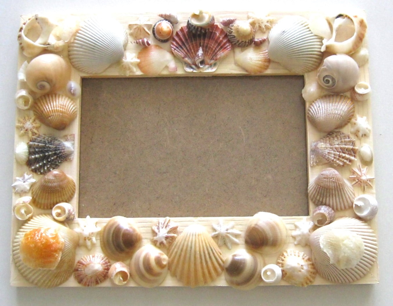 Seashell Picture Frame Craft Workshop