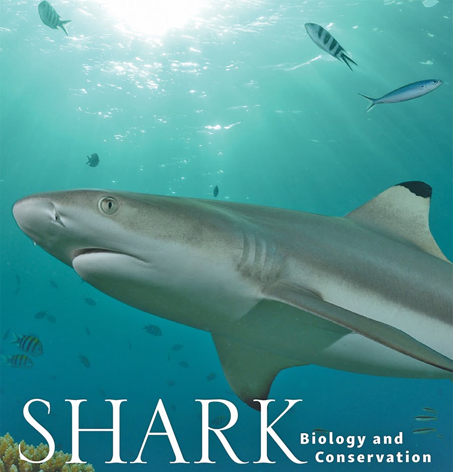 Shark Talk with FSU Coastal & Marine Lab