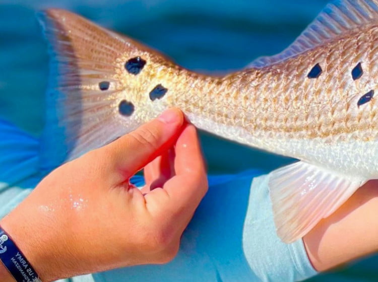 How to Rig a Popping Cork for Redfish, Trout, and Flounder! (EASY + Secret  Tip) 