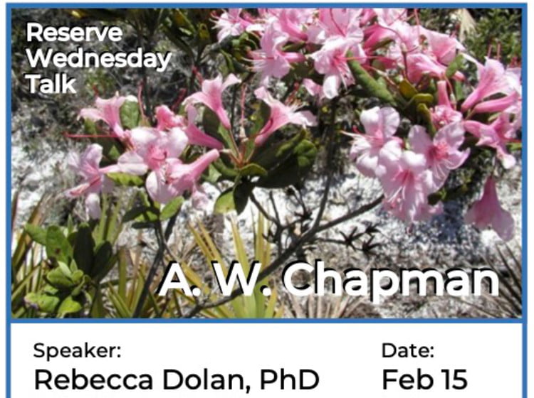 Reserve Wednesday Talk - Alvan Chapman