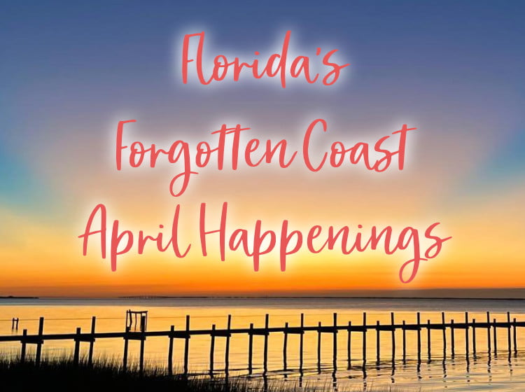 floridas forgotten coast april happenings