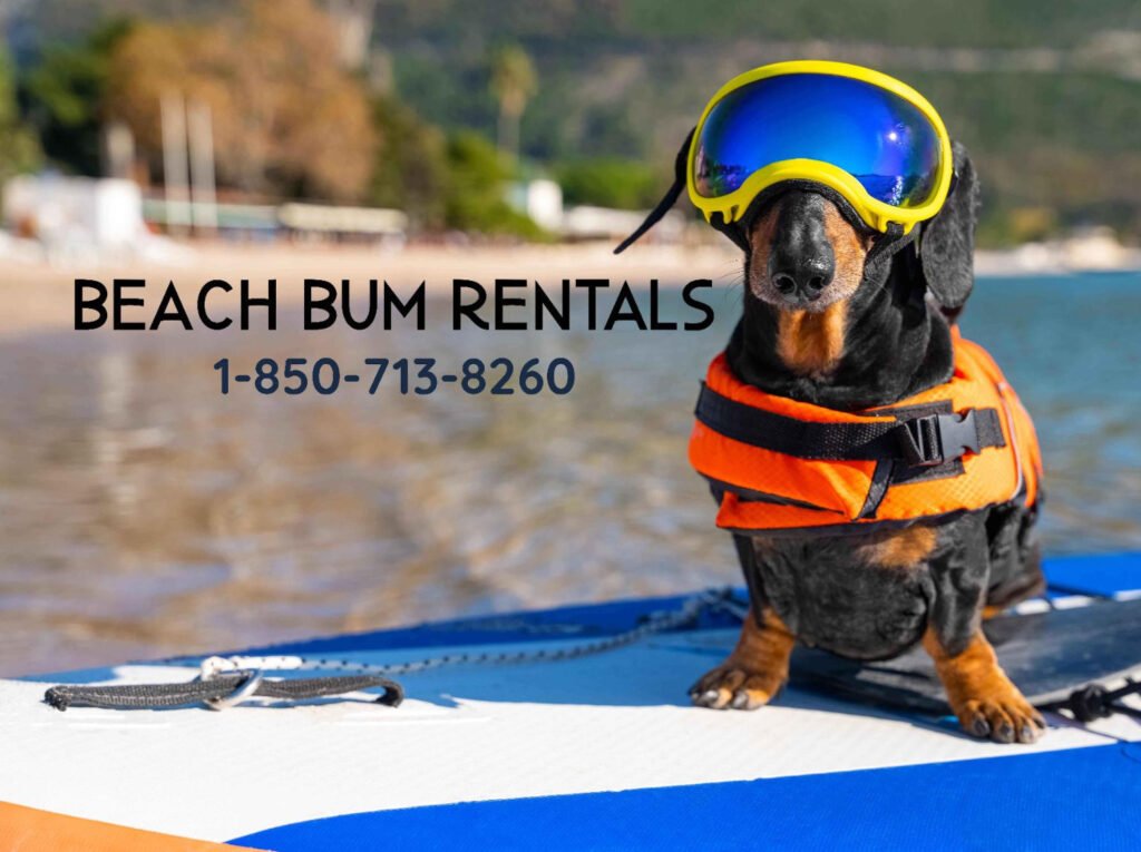 Beach Bum Rentals