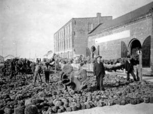 Apalachicola Sponge Industry