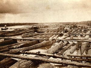 Lumbering in Franklin County