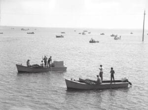 Men harvesting oysters