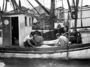 Men on boat sorting