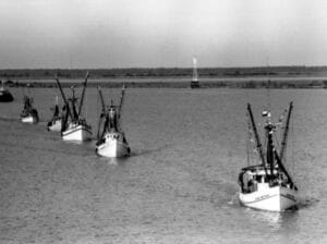 Shrimp Boats on the Coast