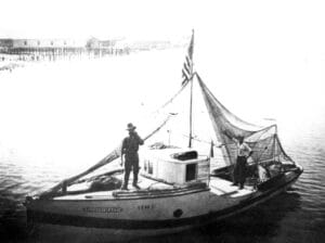 Sponging on the coast