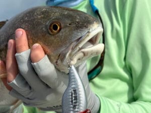 Fishing on Florida's Forgotten Coast