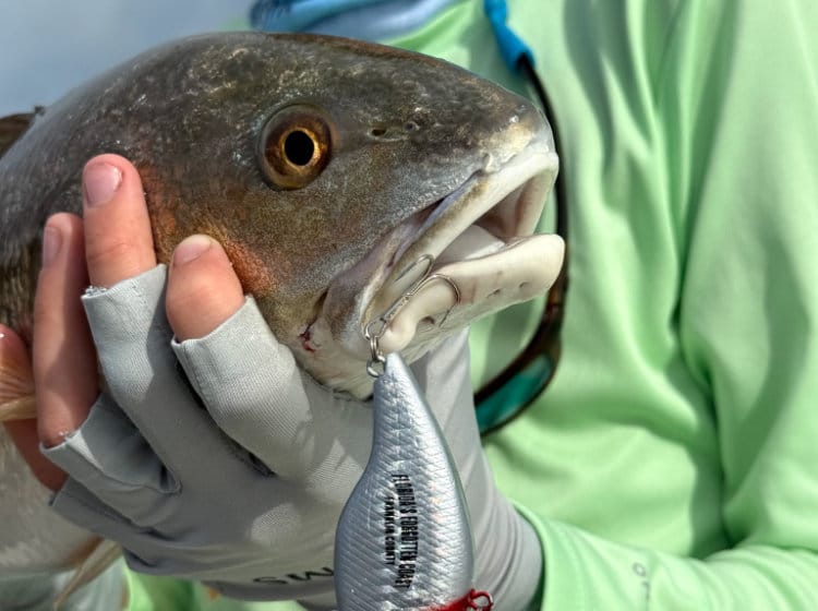 Fishing on Florida's Forgotten Coast